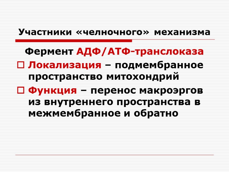 Участники «челночного» механизма  Фермент АДФ/АТФ-транслоказа Локализация – подмембранное пространство митохондрий  Функция –